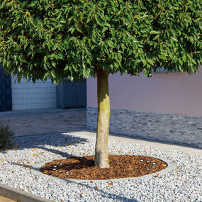 Tree Hugger Outdoor Pathway Light