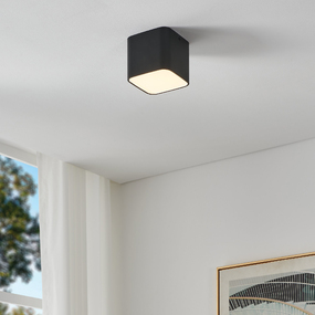 Grimasola Color-Select Ceiling Light