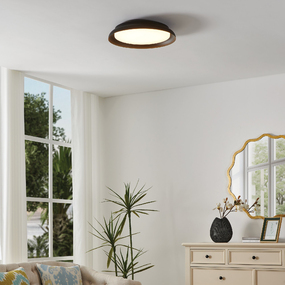Sebio Color-Select Ceiling Light