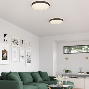 Essex Ceiling Flush Light