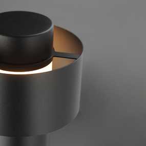 Reveal Outdoor Pathway Light