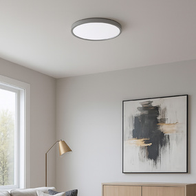 Edge 120-277V Color-Select Ceiling Light