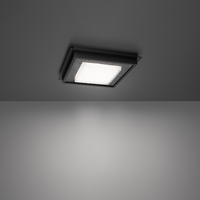 Grandstand Ceiling Light