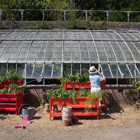 Terrazza Planter