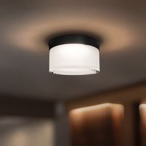 Tuck Outdoor Color-Select Ceiling Light