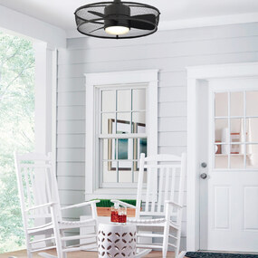 Henry Ceiling Fan with Light