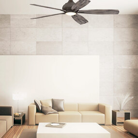 Doren Ceiling Fan with Light