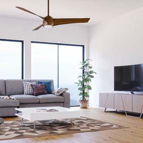 Twirl Ceiling Fan with Light