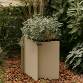 Fragma Planter