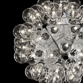 Taraxacum 88 Suspension