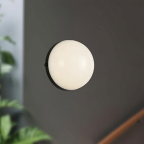 Globo Wall Sconce / Ceiling Flush Light