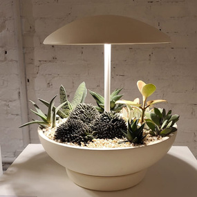 Garden Table Lamp