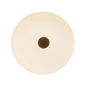 Jada Wall / Ceiling Light