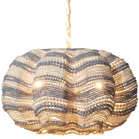 Clamshell Chandelier