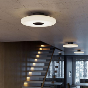 June Color-Select Ceiling Light