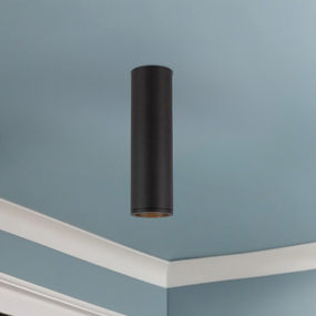 Lorna Concrete 2 inch Ceiling Light
