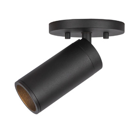 Lorna 2 inch Adjustable Spot Ceiling Light