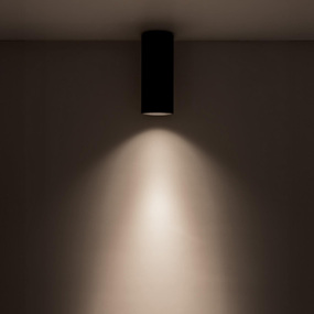 Lorna 3 inch no Canopy Ceiling Flush Light