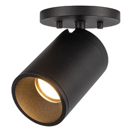Lorna 3 inch Adjustable Spot Ceiling Light