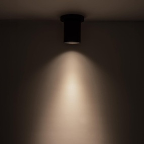 Lorna 3 inch Ceiling Light with Canopy
