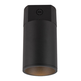 Lorna Concrete 4 inch Ceiling Light