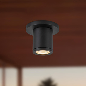Nordic 2in Diameter Outdoor Ceiling Flush Light
