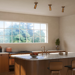 Mason Pivot Ceiling Cylinder