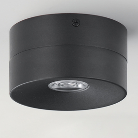 Swinger Outdoor Ceiling Spot Light