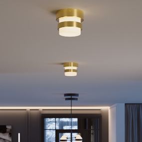 Miami Color-Select Ceiling Light