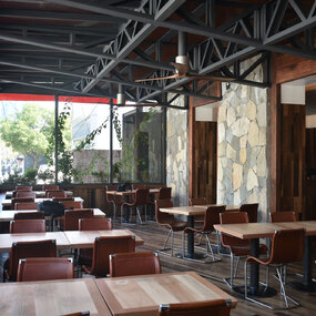 Patricia Ceiling Fan With Light by Matthews Fan Company