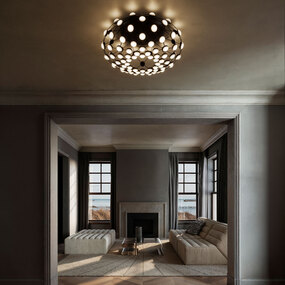 Mesh Ceiling Light