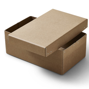 Ordinary Storage Box