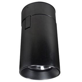 Big Shorty Adjustable Ceiling Downlight for Millwork