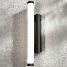 Path Color-Select Outdoor Wall Sconce