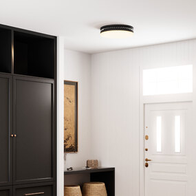 Carey Color-Select Ceiling Light by Quoizel