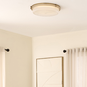 Emory Color-Select Ceiling Light