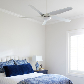 Fury Ceiling Fan