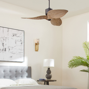 Hawkeye Ceiling Fan