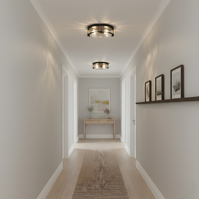 Baltic Ceiling Light by Quoizel