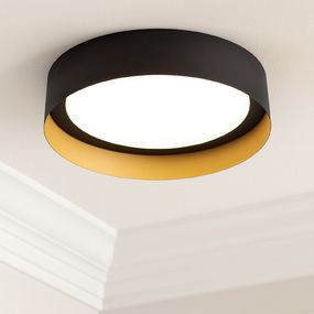 Reveal Color-Select Ceiling Light