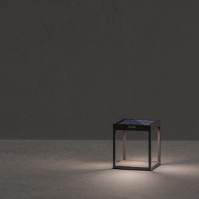 Radia Ground Solar Portable Light
