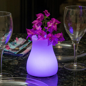 Olio Portable Bluetooth Indoor / Outdoor LED Lamp