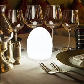 Egg Bluetooth Indoor / Outdoor LED Lamp