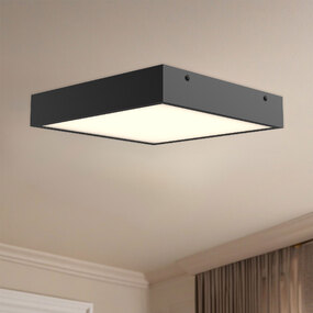 Sydney Wall / Ceiling Light
