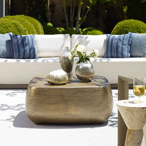 Saguaro Indoor / Outdoor Coffee Table
