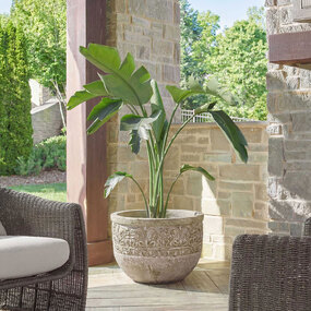 Regalia Indoor / Outdoor Planter