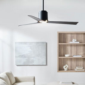 Peel Smart Ceiling Fan with Color Select Light