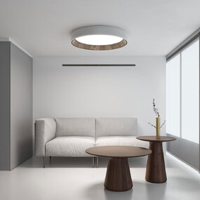 Duo Petra Ceiling Light