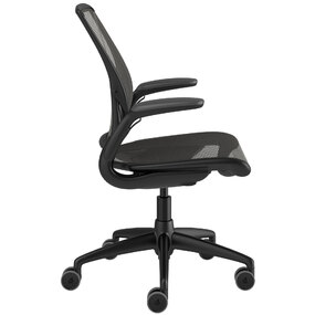 Diffrient World Desk Chair