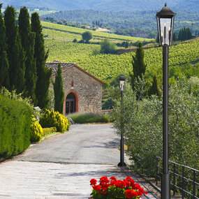 Gannon Outdoor Post Light with Cylinder Base by Z-Lite